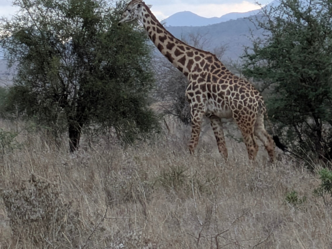 Ombre Tours & Safaris-瓦塔木必去景点