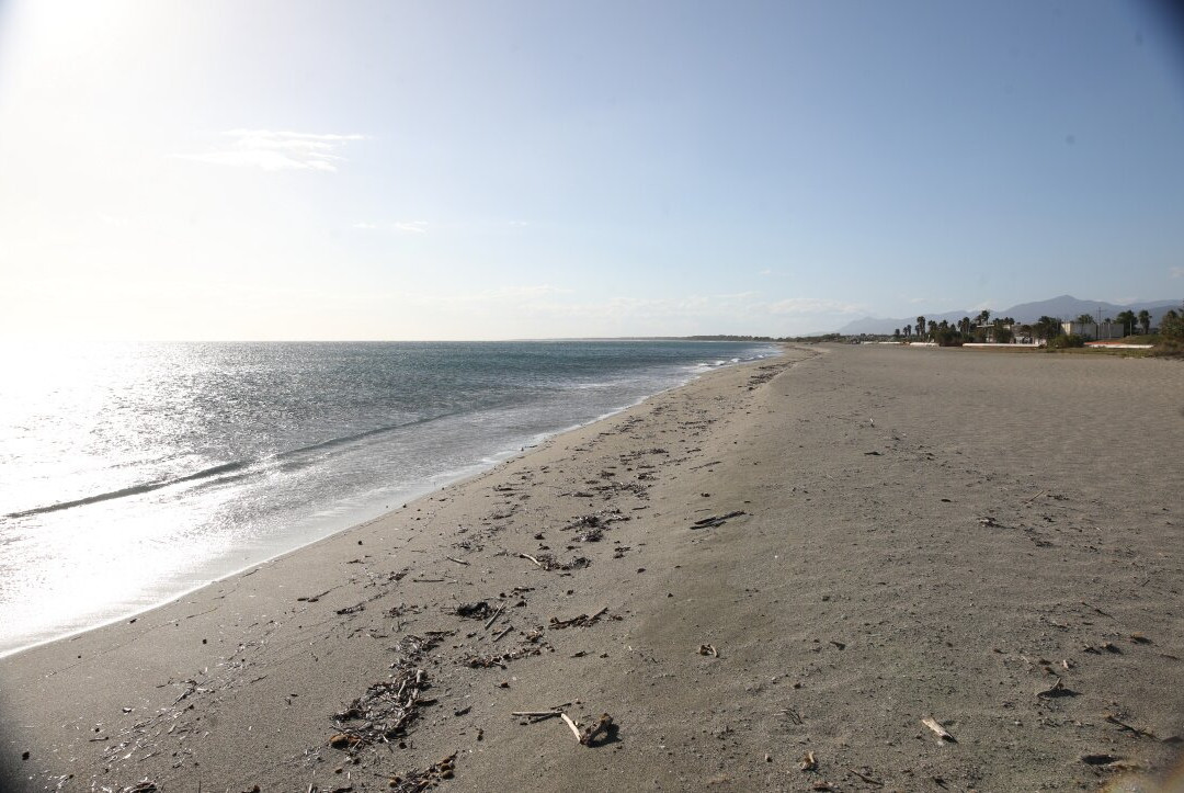 Plage de l'Arinella-Bastia必去景点