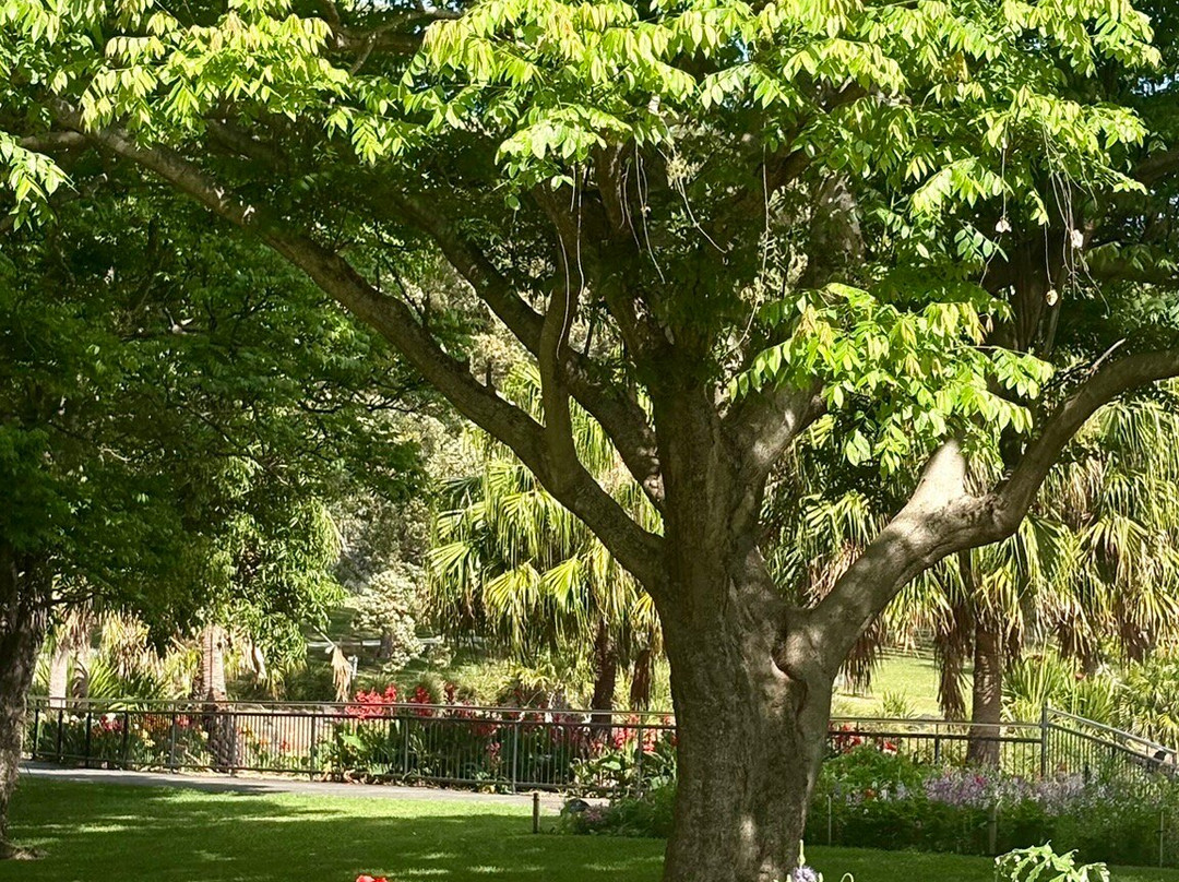 Wollongong Botanic Garden-卧龙岗市必去景点
