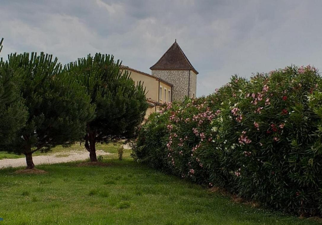 Le Petit Tardonne