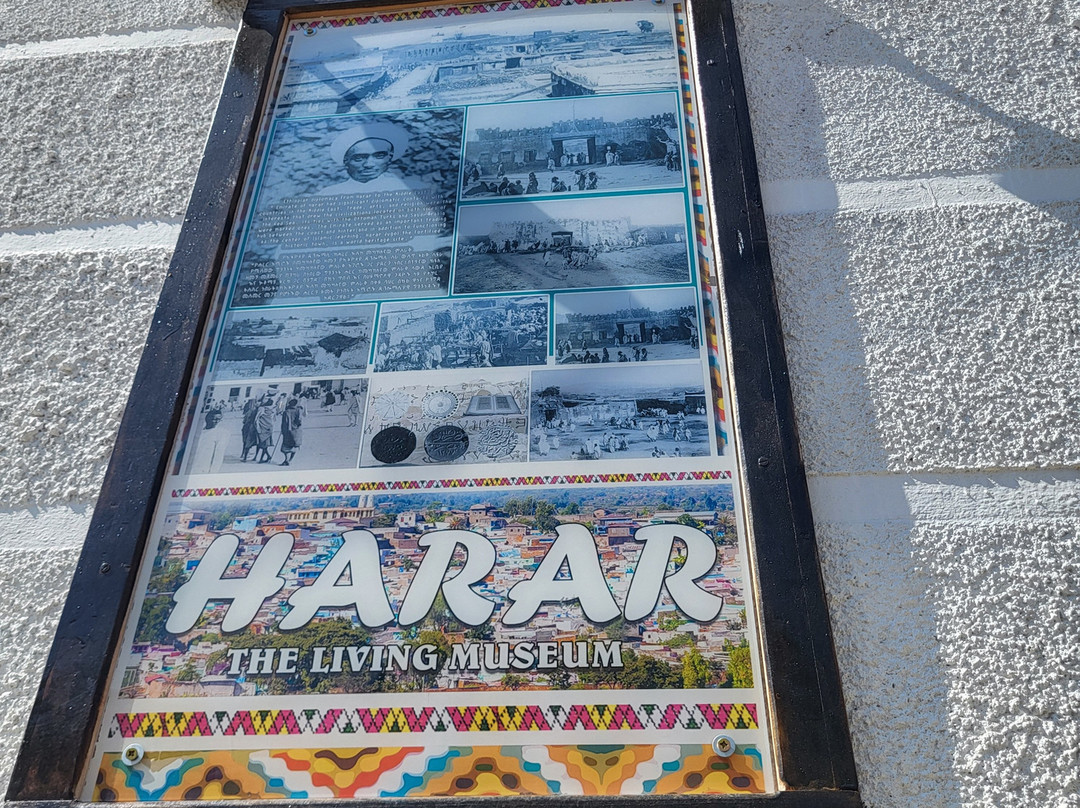 Bini Harar Tours-哈勒尔必去景点