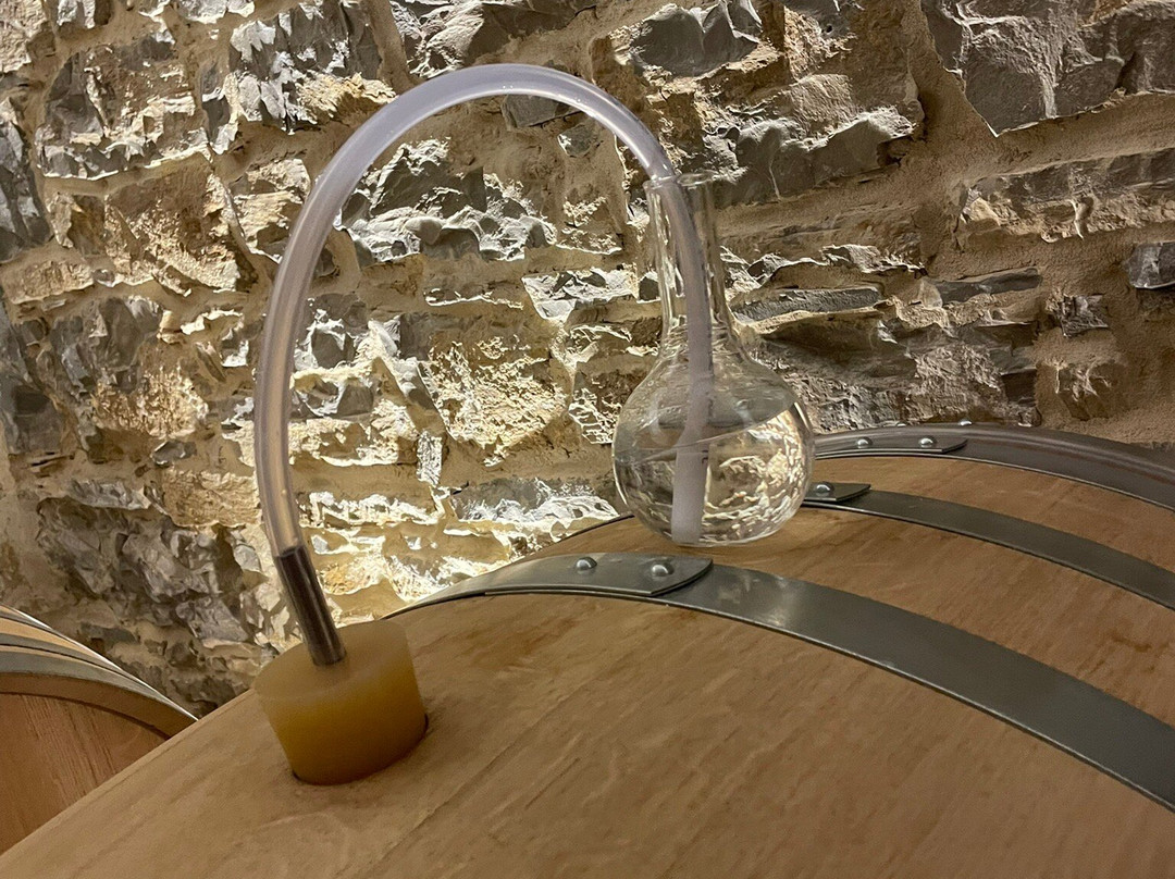 Tenuta Stella-Dolegna del Collio必去景点