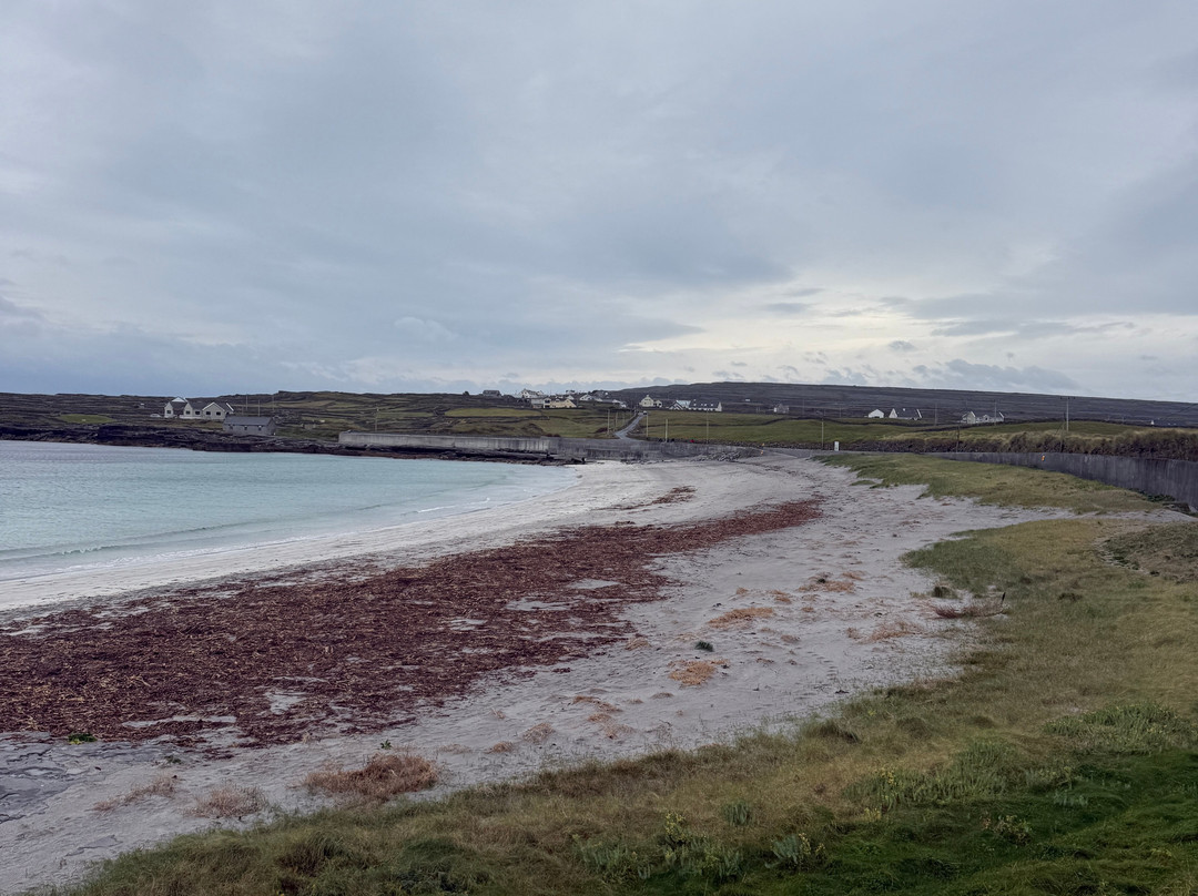 Aran Celtic Tours-Kilronan必去景点