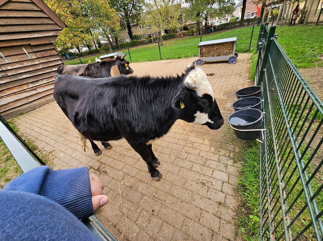 Boerderij Daalhoeve-马斯特里赫特必去景点