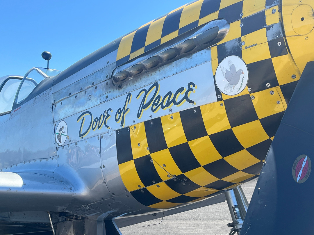 Temora Aviation Museum-Temora必去景点