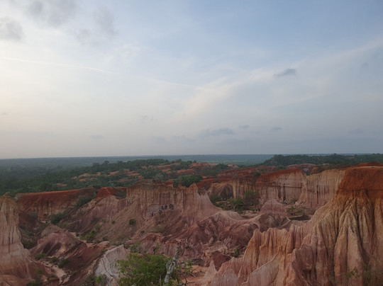 Cariola Safari Kenya