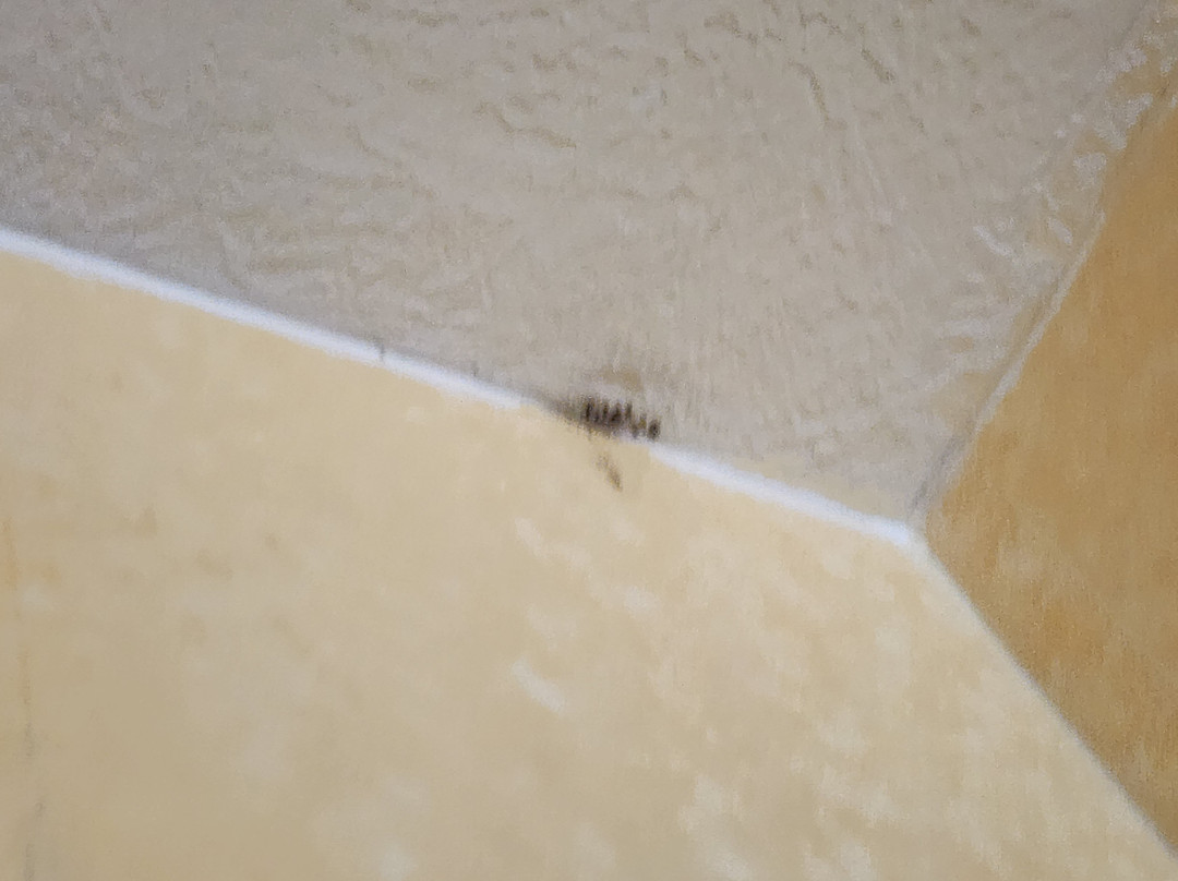 杜松山旅馆主图