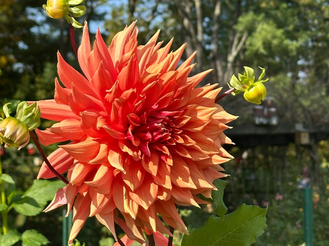 Bayard Cutting Arboretum-Great River必去景点
