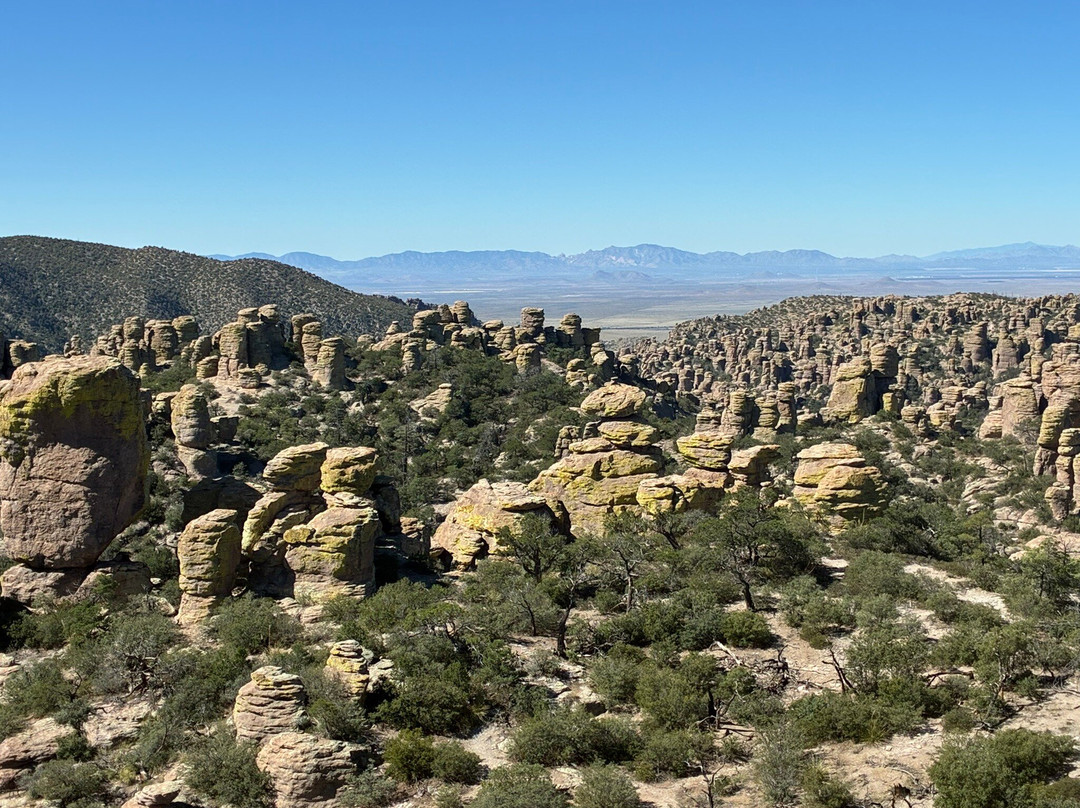 Chiricahua National Monument-Willcox必去景点