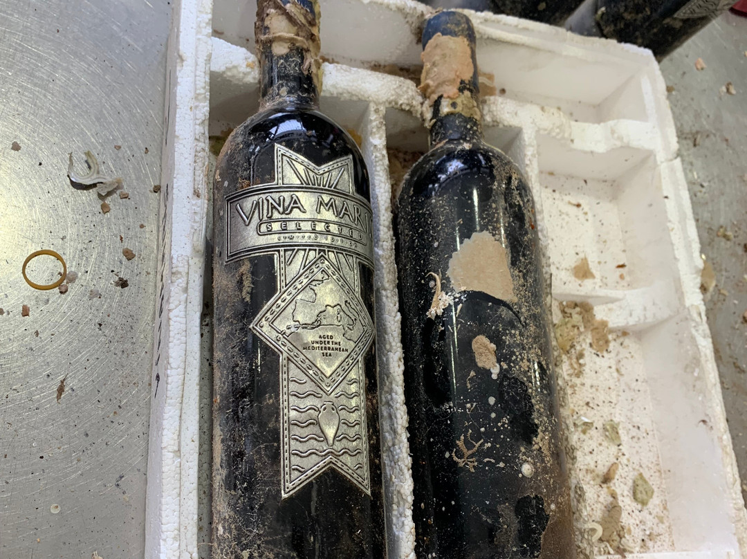 Bodegas Carchelo-Jumilla必去景点