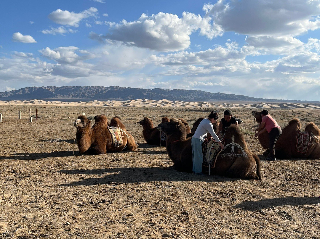 Travel Buddies-乌兰巴托必去景点