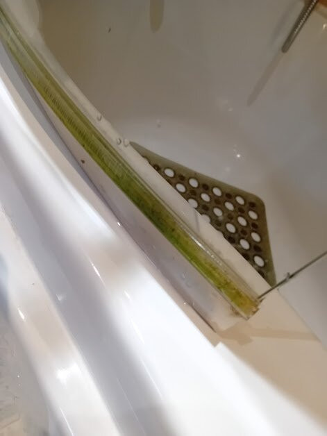 Halfway House Inn主图