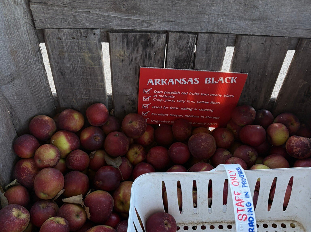 Grandad's Apples-亨德森维尔必去景点