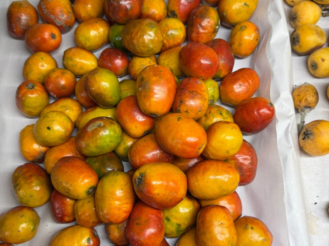 Mercado de Medellin-墨西哥城必去景点