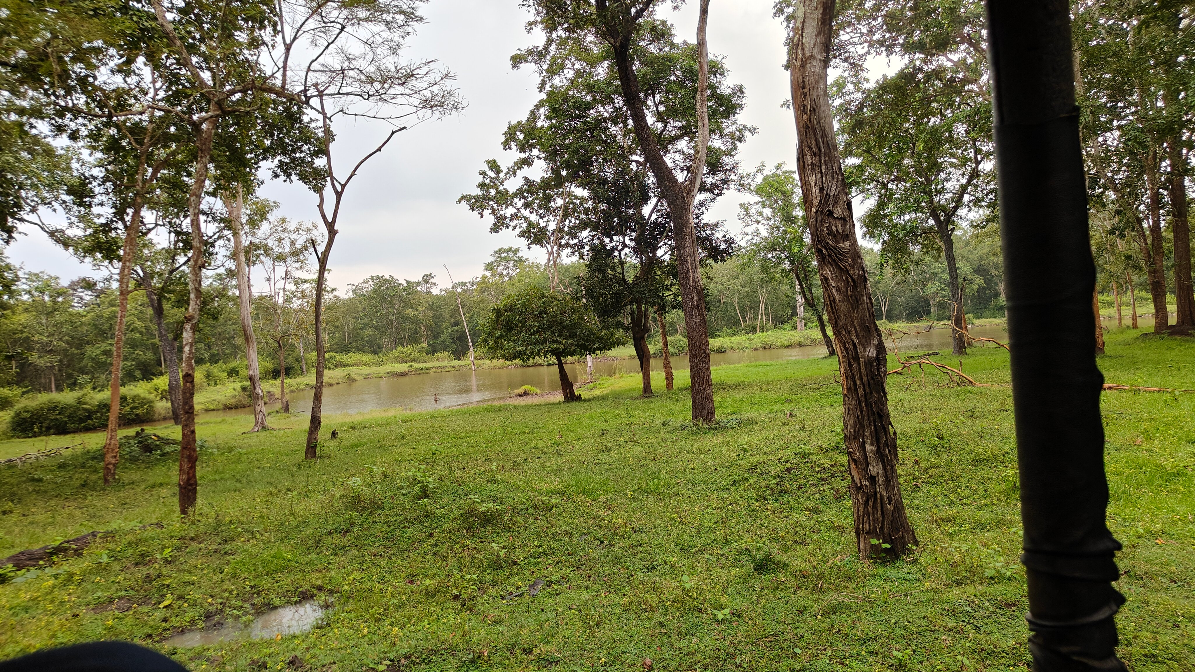 Regenta Jungle Resort Kabini Springs-官方