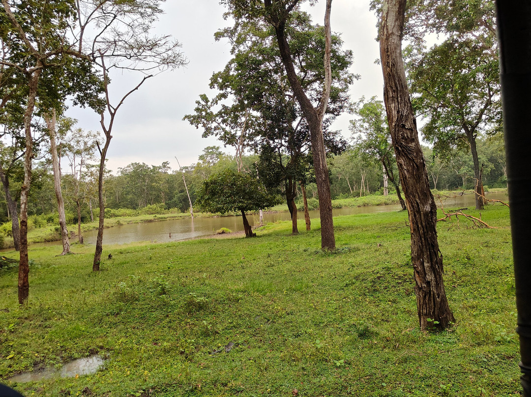 Regenta Jungle Resort Kabini Springs主图