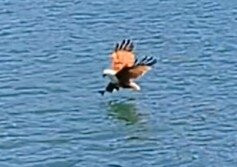 Noosa Queen-Tewantin必去景点