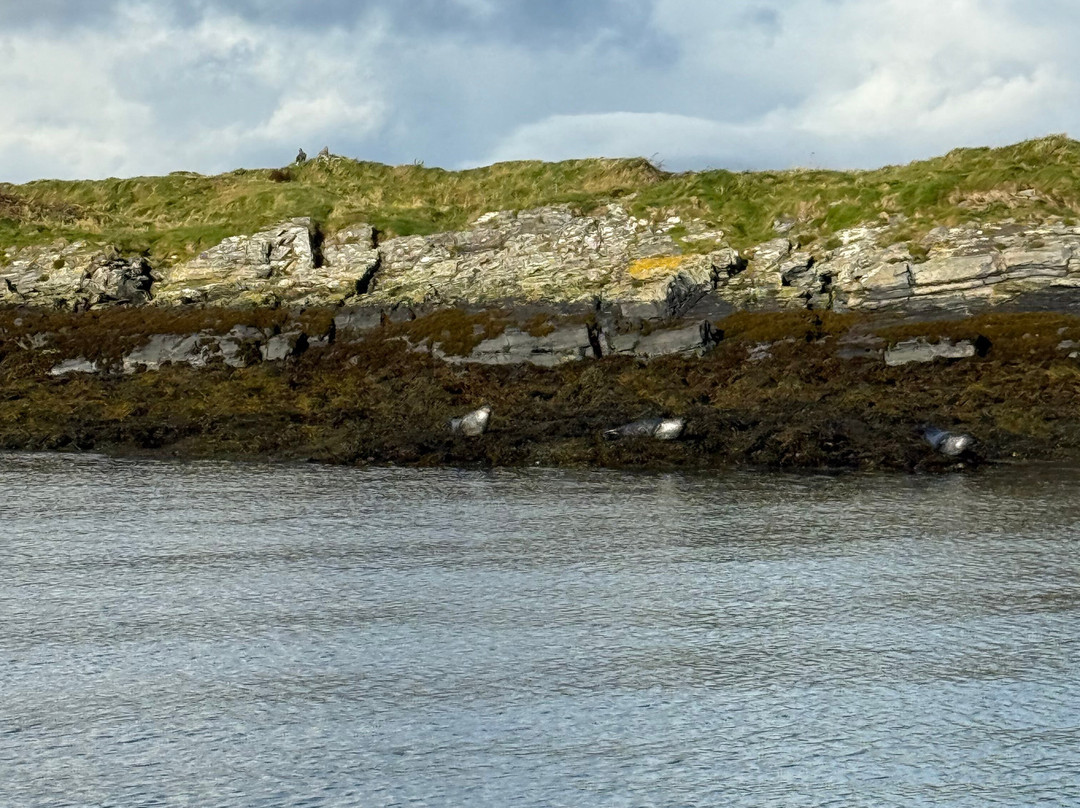 Argyll-Sea Tours-奥本必去景点