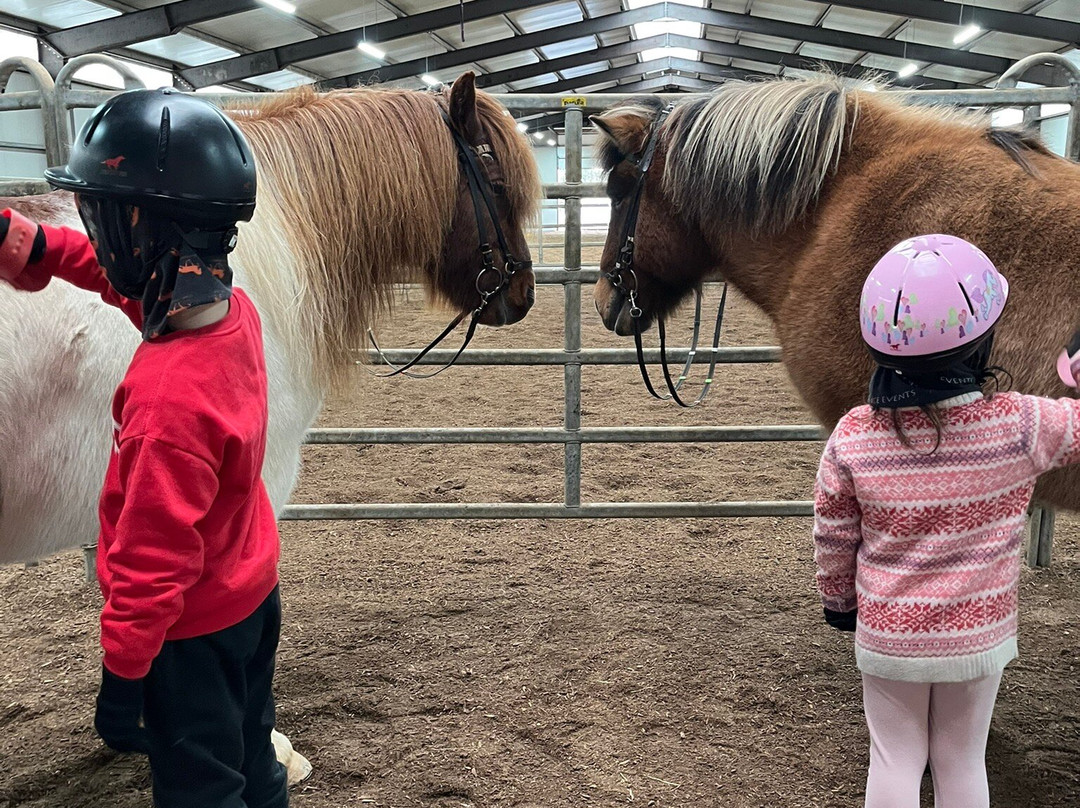 Icelandic HorseWorld-海拉必去景点