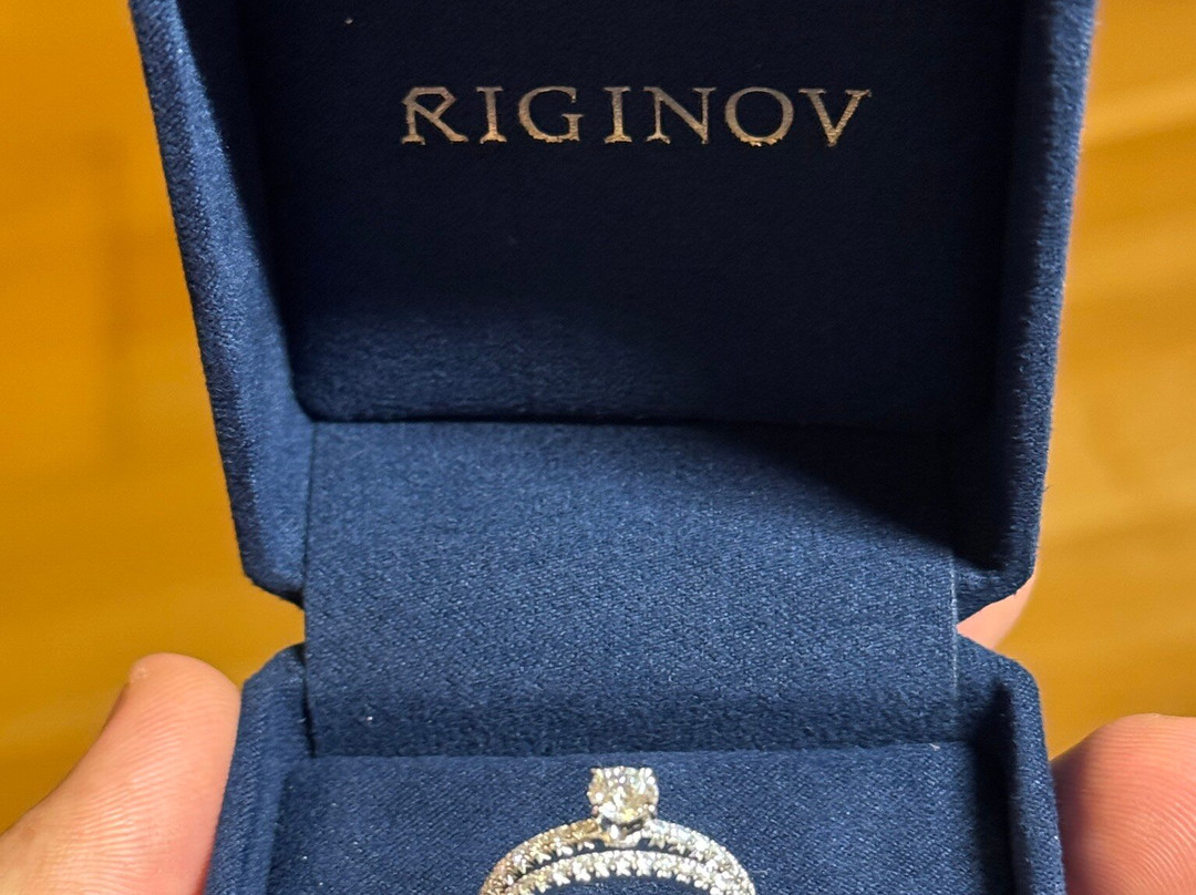 Riginov-安特卫普必去景点