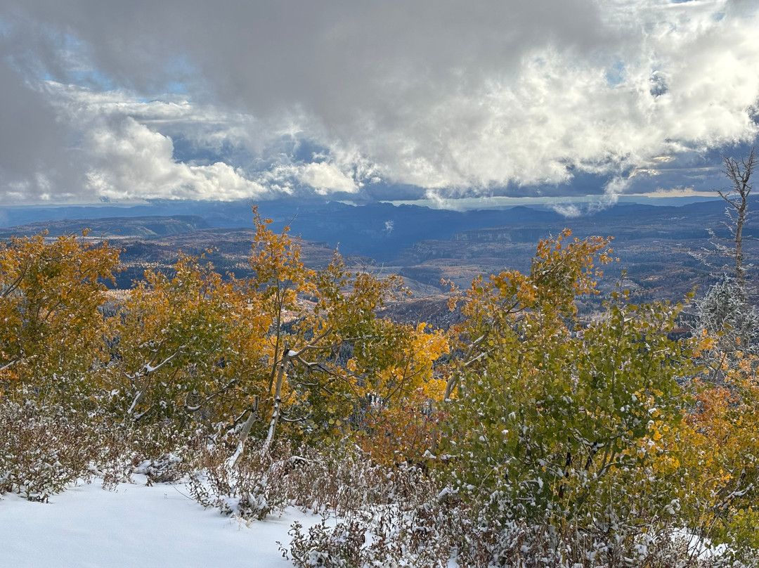 Dixie National Forest-锡达城必去景点