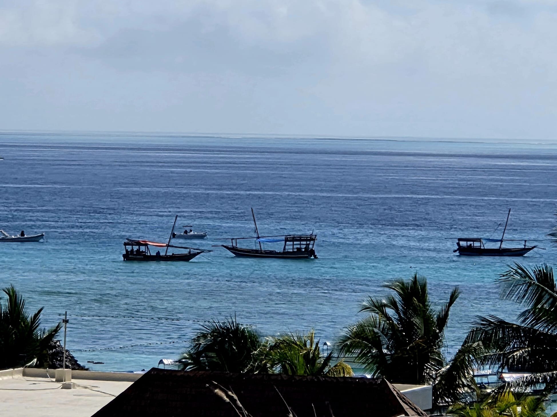 The Mora Zanzibar-官方