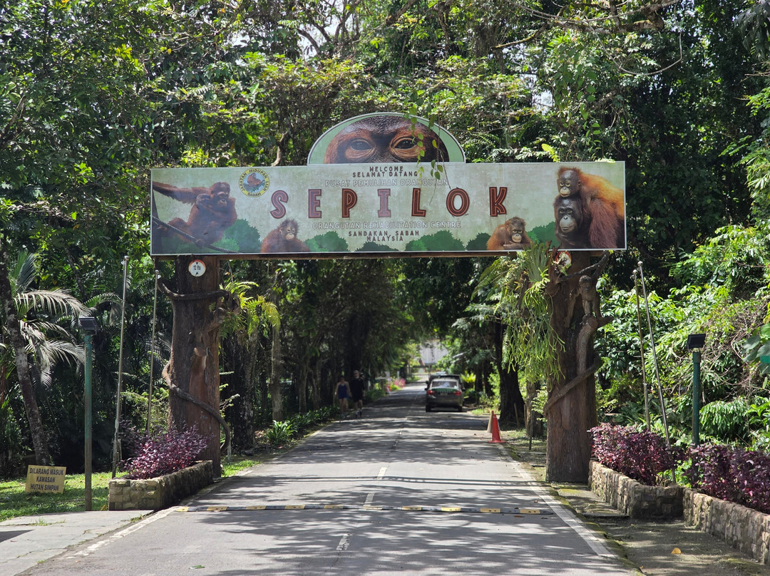 Borneo Eco Tours-亚庇必去景点