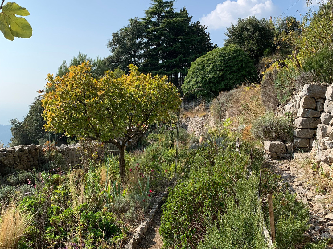 Le jardin médiéval de Sainte-Agnès-Sainte-Agnes必去景点