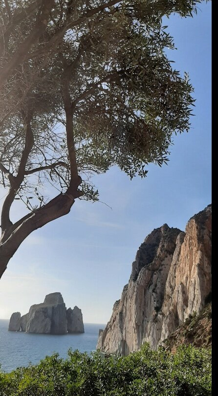Isolotto Faraglione del Pan di Zucchero-Iglesias必去景点