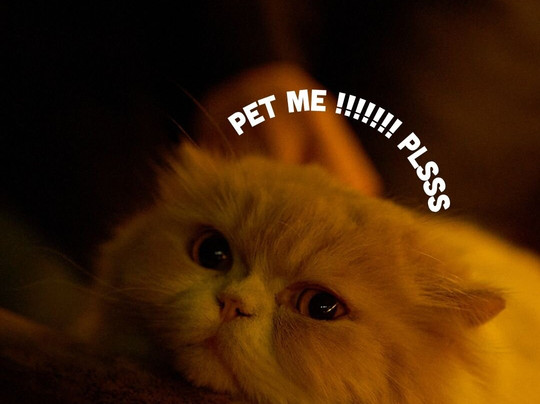 Can You Keep A Secret?-胡志明市必去景点