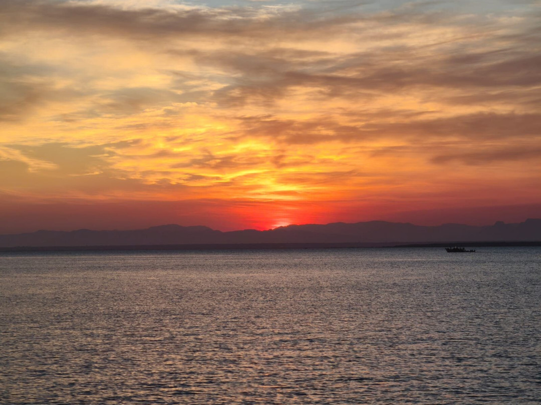 Nomadic Sails-Wasini Island必去景点