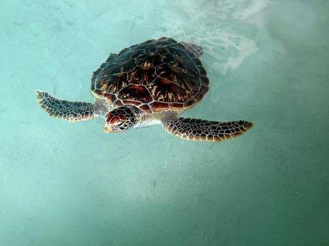 ZANZIWORLD TOURS-桑给巴尔岛必去景点