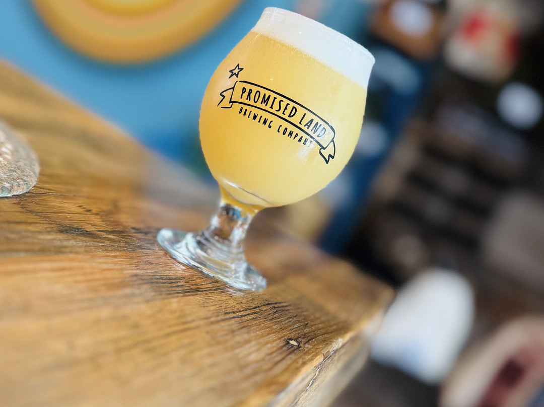 Promised Land Brewing Company-吉尔罗伊必去景点
