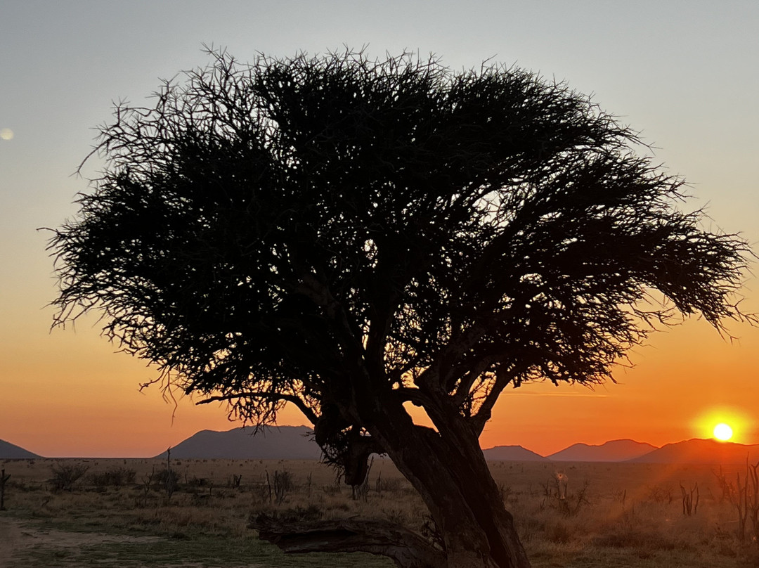 MoAfrika Tours-约翰内斯堡必去景点