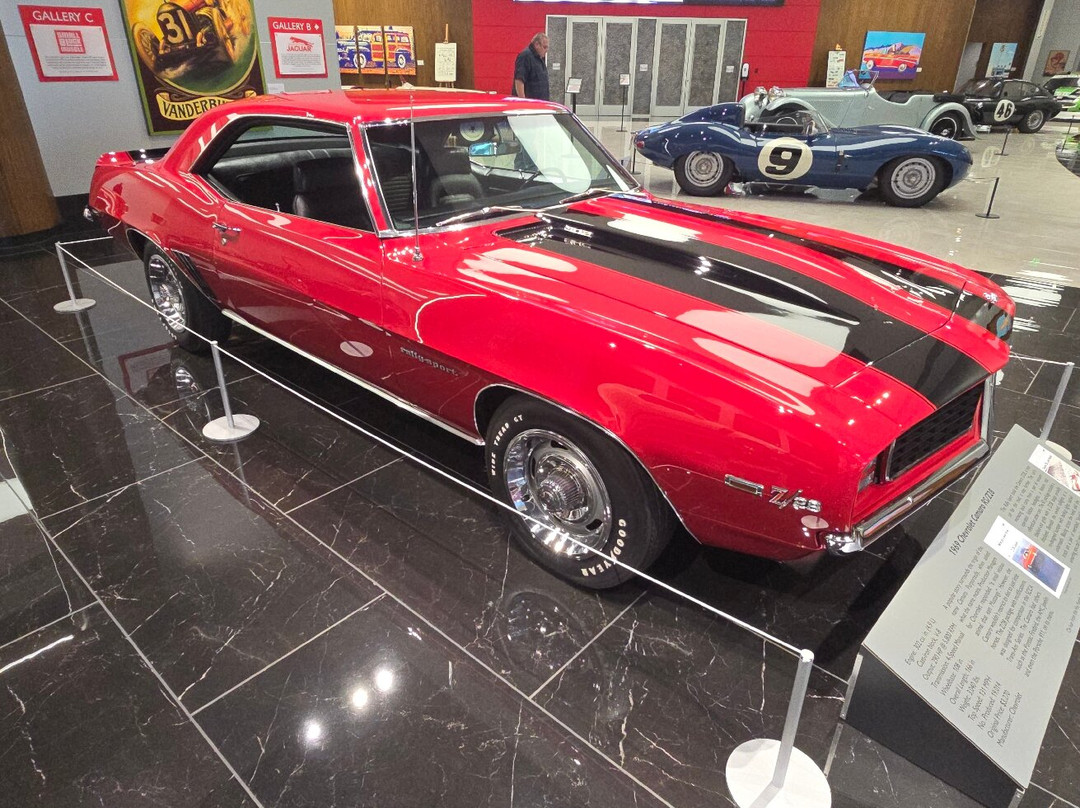 Savoy Automobile Museum-Cartersville必去景点