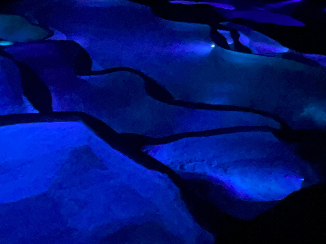 Grotte Saint-Marcel-Bidon必去景点