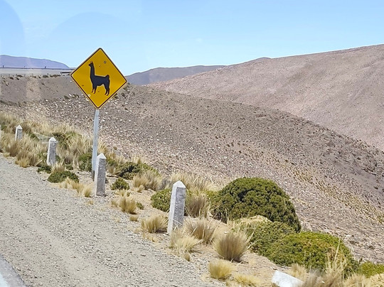 Apacheta Viajes-萨尔塔必去景点