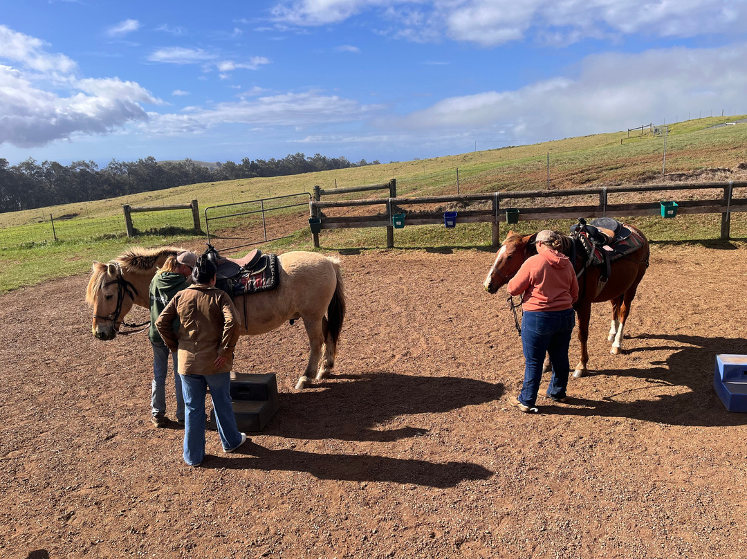 Na'alapa Stables - Kahua Ranch-卡慕也拉必去景点