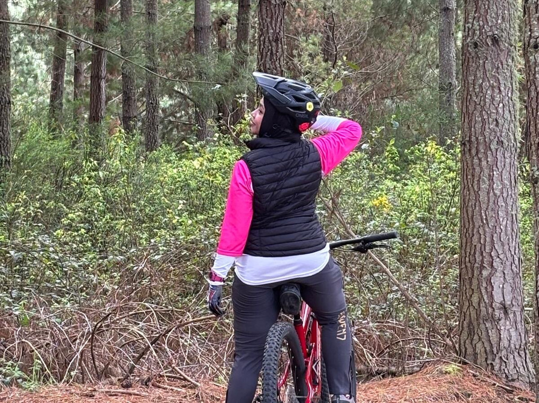 FourB - Bike Tours, Shuttles & Hire-陶波必去景点