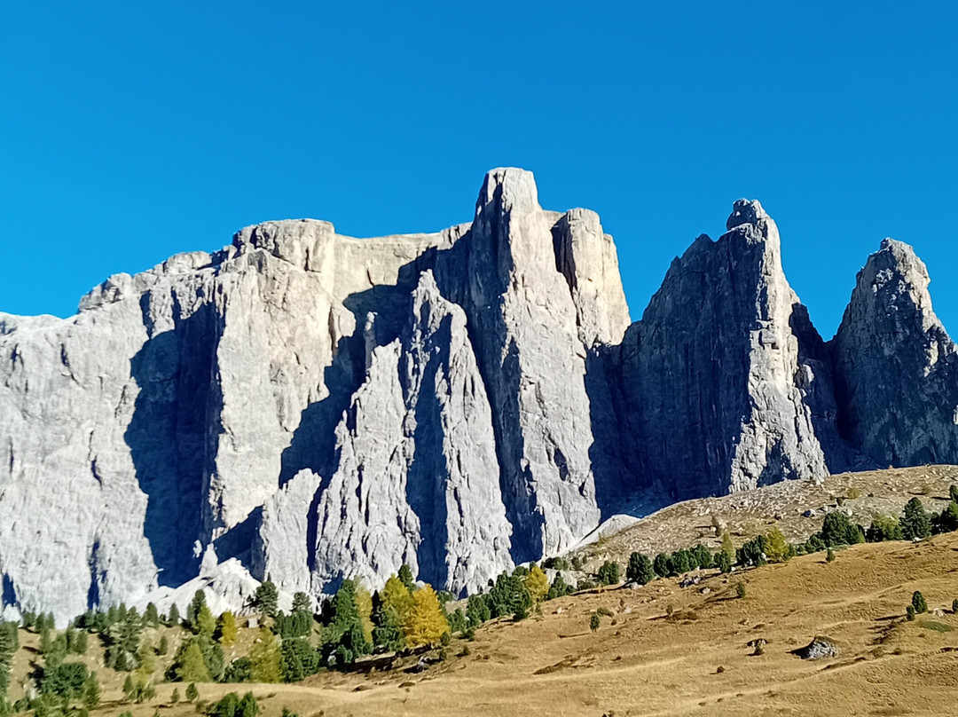 Alpe di Siusi-Alpe di Siusi必去景点