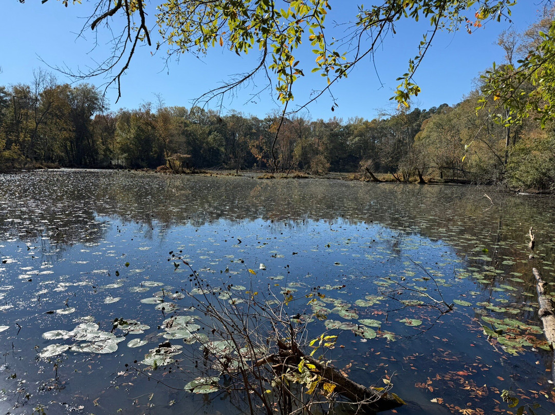 Sandy Creek Nature Center-阿森斯必去景点