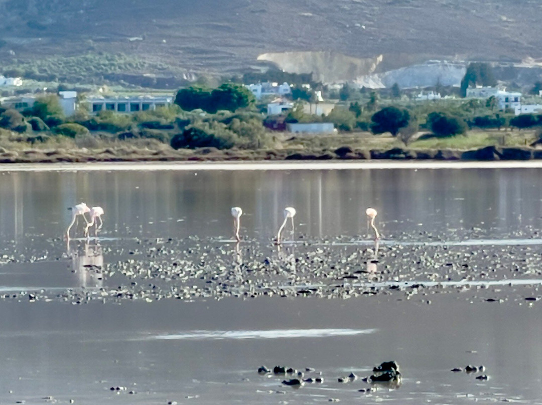 Alikes Salt Lakes Tigaki-Tigaki必去景点