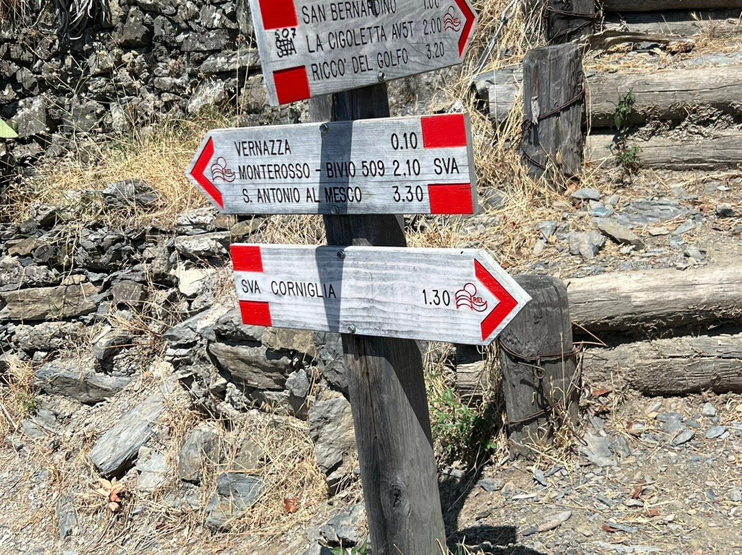 Sentiero Vernazza a Corniglia-韦尔纳扎必去景点