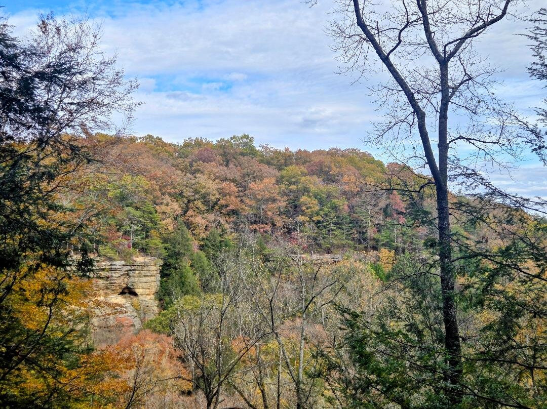 Conkles Hollow State Nature Preserve-Rockbridge必去景点