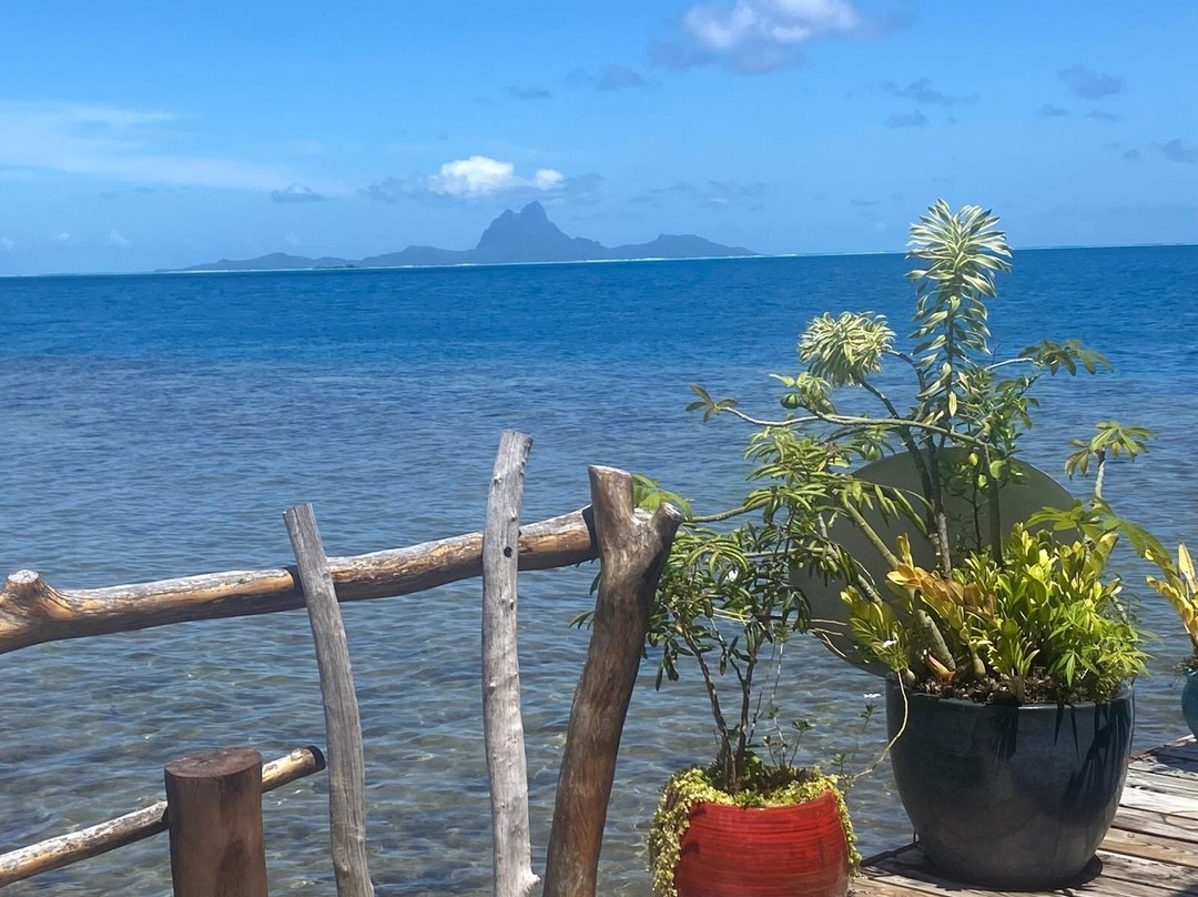 Arii Moana Tours-亚堤亚岛必去景点