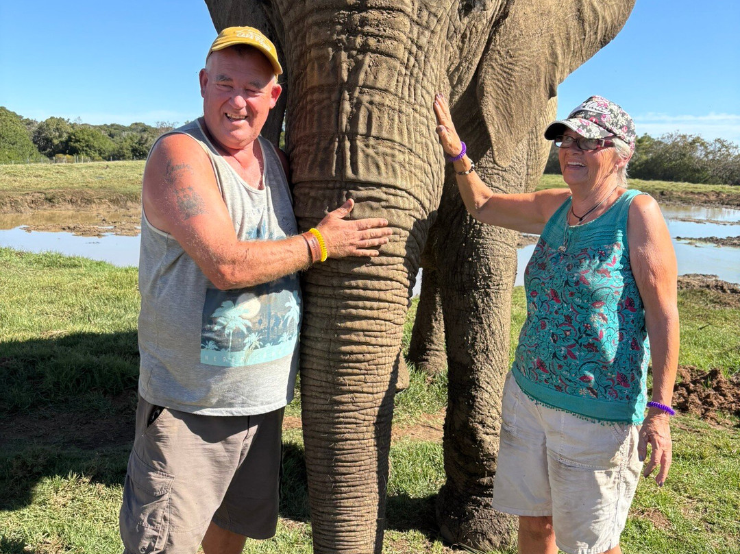 Elephant Sanctuary The Crags-The Crags必去景点