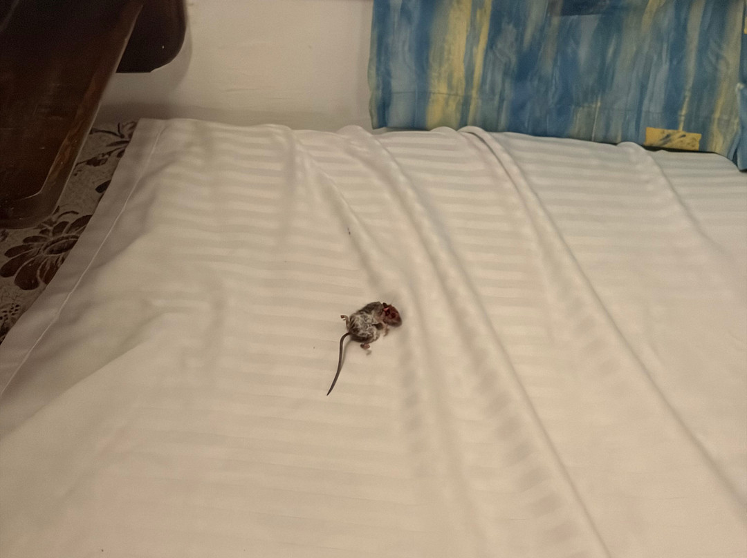 INMO Divers Home主图