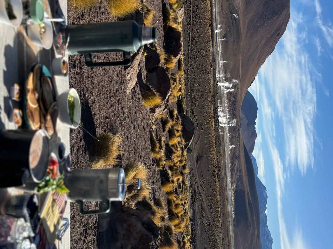 Ruta Nativa Chile-圣佩德罗-德阿塔卡马必去景点