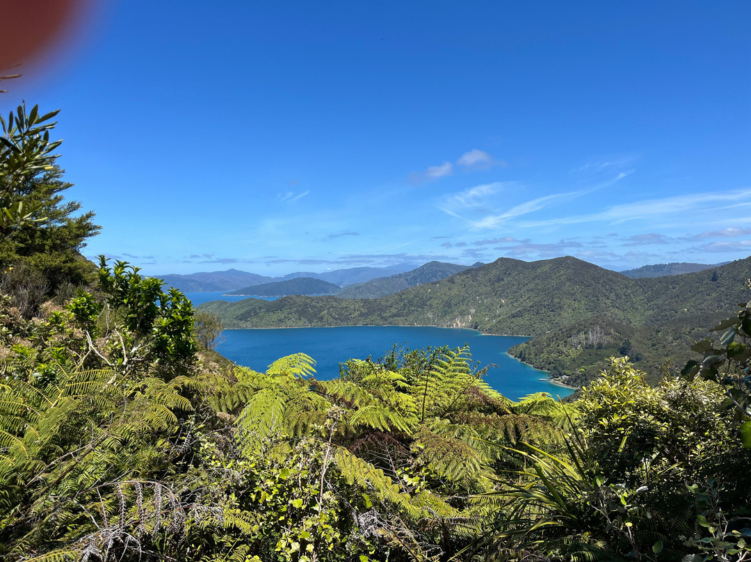 Wilderness Guides - Day Tours-皮克顿必去景点