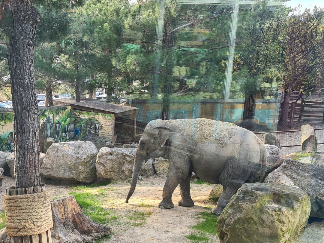 Safari Park-Gelendzhik必去景点